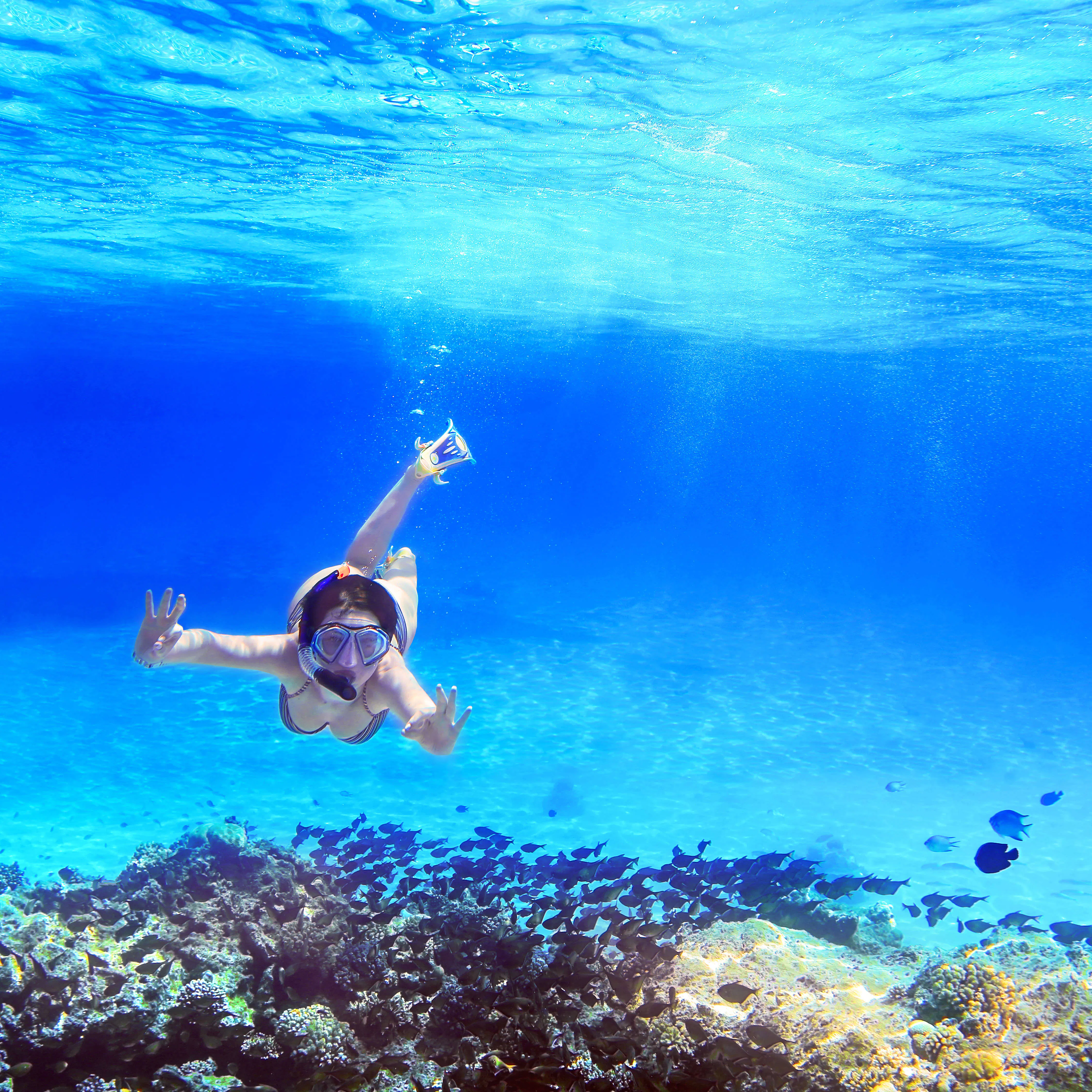 Half-Day Boat & Snorkeling Tour from Amalfi to Positano, Amalfi